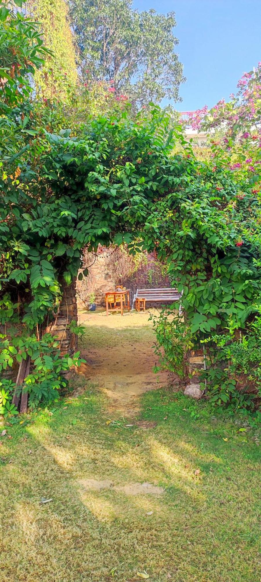 The Secret Garden Bed and Breakfast Pushkar Eksteriør billede