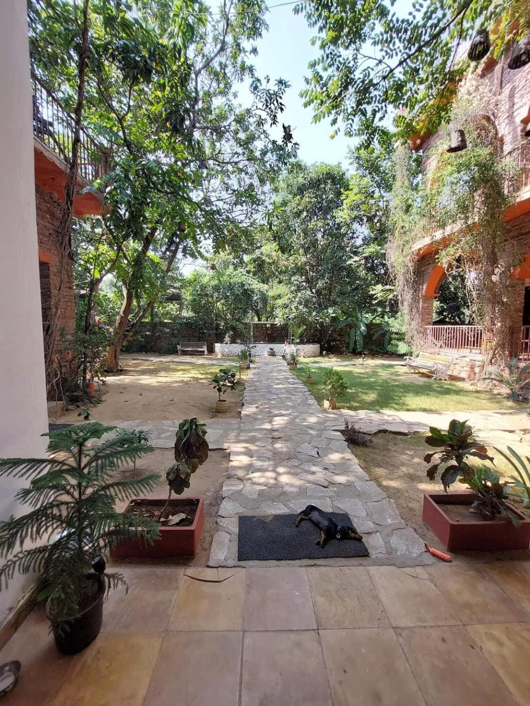 The Secret Garden Bed and Breakfast Pushkar Eksteriør billede