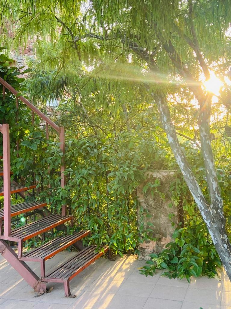 The Secret Garden Bed and Breakfast Pushkar Eksteriør billede