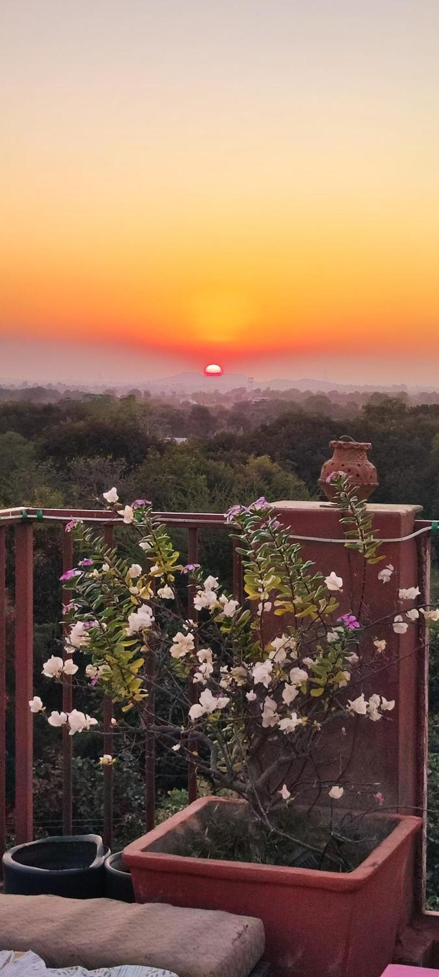 The Secret Garden Bed and Breakfast Pushkar Eksteriør billede